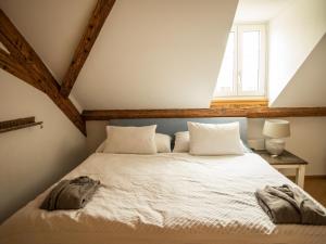 Moderne Altbauwohnung im Zentrum von Bern mit Wellness