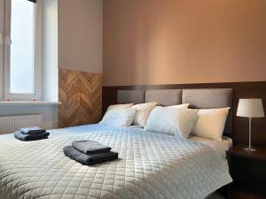 Comfy Apartment with home cinema projector, Cracows heart