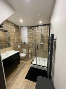 Logement cœur de Nancy