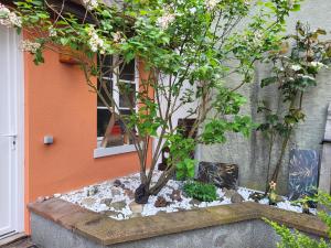 Appartements L-Essentiel-Appartement neuf et cosy avec piscine : photos des chambres