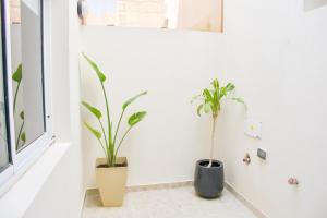 Las Blanquitas- departamentos en el casco histórico de Chascomús, a pocos metros de la laguna