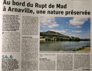Appartements Spacieux logement : photos des chambres