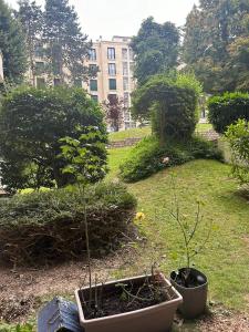 Appartements Your home Chaville : photos des chambres