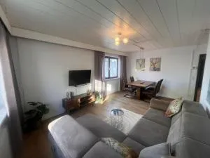 Zentrales City Appartement mit Bestlage & gratis Parkplatz - Bobenheim-Roxheim