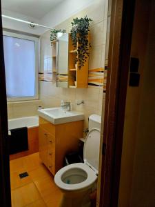 Home Studio Cismigiu