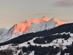 Chalet a Megeve-Vauvray - Grands Appartements , vue Mont Blanc : photos des chambres