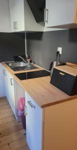 ViP Apartment Krakow