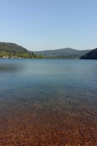Villas Chalet Les 3 Chenes Xonrupt-Longemer a 2 pas de GERARDMER et des lacs : photos des chambres