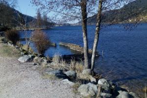 Villas Chalet Les 3 Chenes Xonrupt-Longemer a 2 pas de GERARDMER et des lacs : photos des chambres