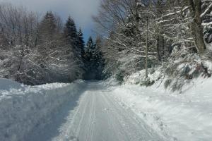 Villas Chalet Les 3 Chenes Xonrupt-Longemer a 2 pas de GERARDMER et des lacs : photos des chambres