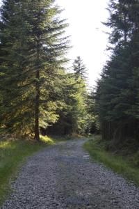 Maisons de vacances Chalet Le Pin a 2 pas de GERARDMER, dans la vallee des lacs : photos des chambres