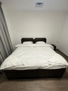 central apartment for rent 22