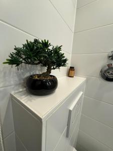 Private Unterkunft im Herzen Hannovers