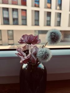 Ferienwohnung Schmalkalden