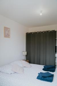 Appartements F2 spacieux et lumineux avec cuisine equipee : photos des chambres