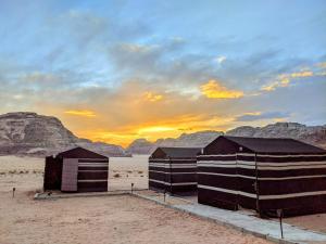 Wadi rum galaxy camp