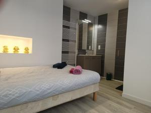 Appartements wintzenheim: appartement : photos des chambres