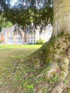 Maisons de vacances Le Pressoir du Chateau de Neuville, Piscine & jeux - Famille & Amis : photos des chambres