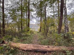 Siedlisko Silna Nowa