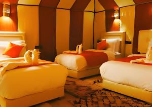 Exceptional Luxury Camp