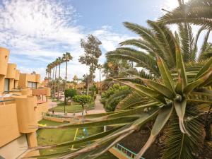 Drago 1 Atlantic Garden apartment