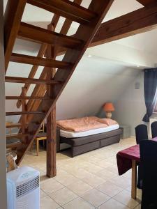 Appartements GITE SPACIEUX AU COEUR DE L'ALSACE 3*** : photos des chambres