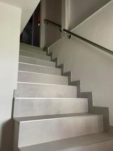 GITE SPACIEUX AU COEUR DE LALSACE 3***