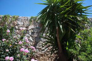 Villages vacances Hotel et Residence Benista : photos des chambres