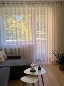 Apartamentai miesto centre