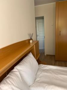 Apartamentai miesto centre