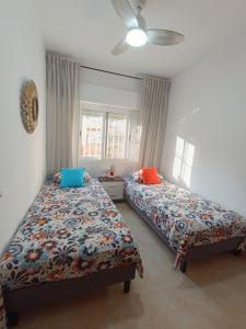 Blue Day Solo Familias