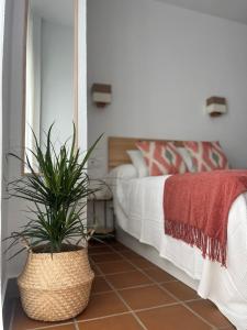 La Suite de la Reina