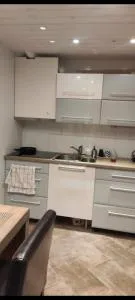 1 soverom leillighet - Aurdal