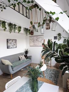 Appartements Le cosy botanique : photos des chambres