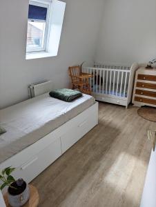 Appartements Le cosy botanique : photos des chambres