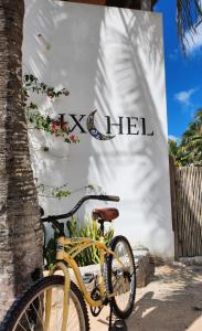 Villa Ixchel Tortugas