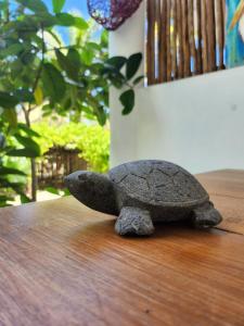 Villa Ixchel Tortugas