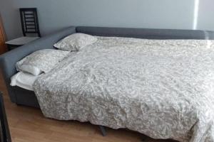 Cosy Big Apartment, FREE Parking 25 min to Center