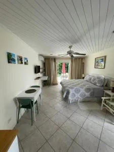 Charming Ground-Floor Studio in South Coast Barbados - Rockley