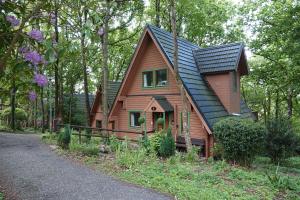 Lodge Nine for 6 with Hot Tub - Spa Resort in Devon