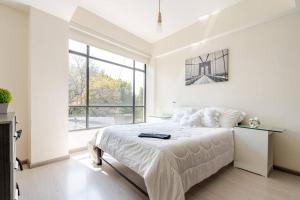 Mexico City MondoMexico Deluxe 2 Bedroom apartments