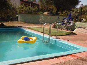 Villa L'Oleandro img64