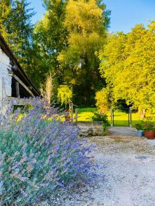 Maisons de vacances Gites Rue Du Chateau : photos des chambres