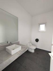 Encantador estudio con Roof Top Zona Romántica 401