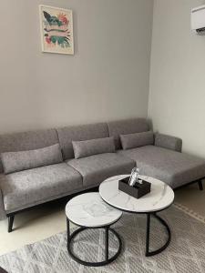 شقة فاخرة بحي العقيق بمدخل خاص