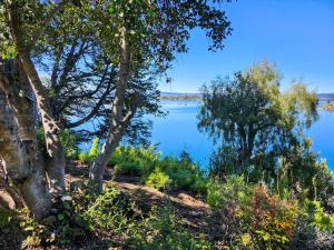Costa de Lago - Cullelafquen