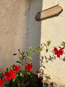 Appartements Le Micocoulier : photos des chambres