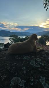 Refugio a Beira do lago Piscina Churrasqueira Vista privelegiada para o Por dos sol Canto dos Passaros