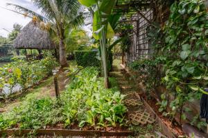 Xóm Sình Homestay & Farmstay Buôn Ma Thuột ĐakLak