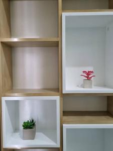 Aquarius at The Median Cebu